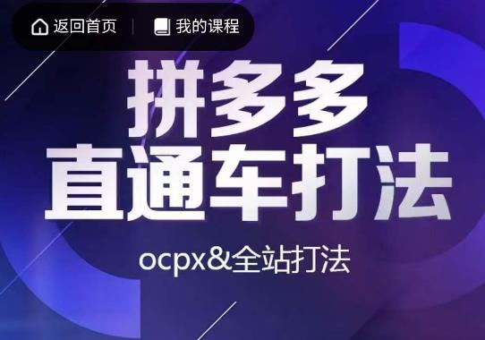 互力·拼多多直通车打法，ocpx&全站打法-源创资源网