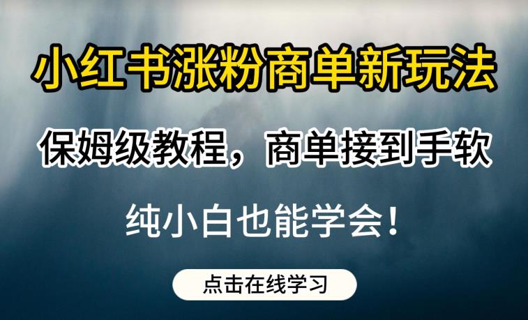 小红书涨粉商单新玩法，保姆级教程，商单接到手软，纯小白也能学会【揭秘】-源创资源网