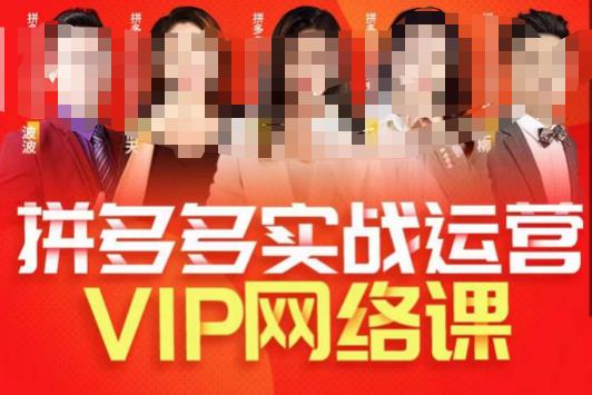 推易拼多多VIP全套直播课程，拼多多店铺实操玩法+实战玩法选款内功+直通车高阶等-源创资源网