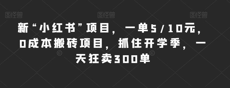 新“小红书”项目，一单5/10元，0成本搬砖项目，抓住开学季，一天狂卖300单【揭秘】-源创资源网