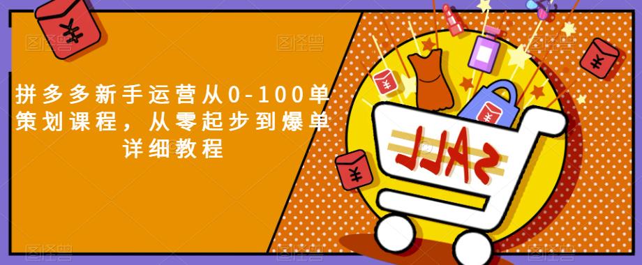 拼多多新手运营从0-100单策划课程，从零起步到爆单详细教程-源创资源网