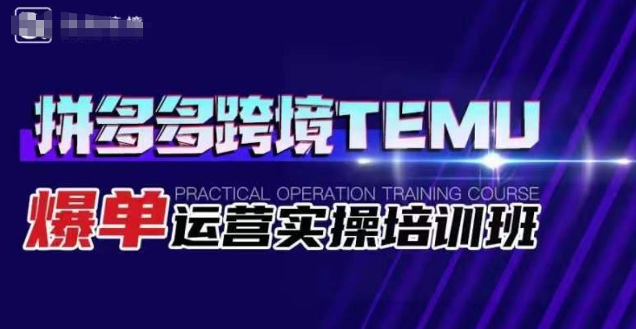 拼多多跨境TEMU爆单运营实操培训班，海外拼多多的选品、运营、爆单-源创资源网