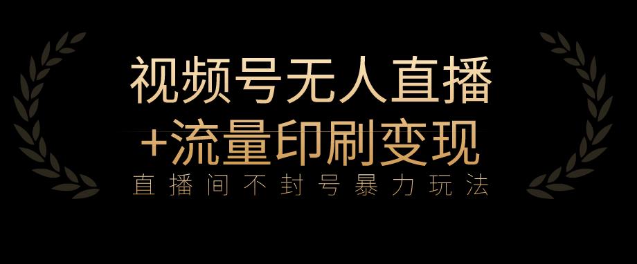 全网首发视频号不封号无人直播暴利玩法+流量印刷机变现，日入1000+【揭秘】-源创资源网