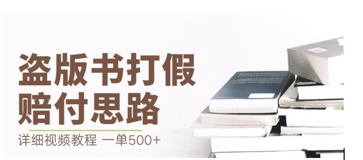 最新盗版书赔付打假项目，一单利润500+【详细玩法视频教程】【仅揭秘】-源创资源网