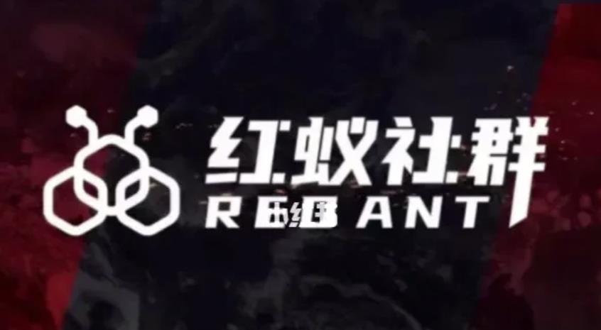 社群运营：红蚁社群【48节落地系统课程+2000人高端社群】-源创资源网
