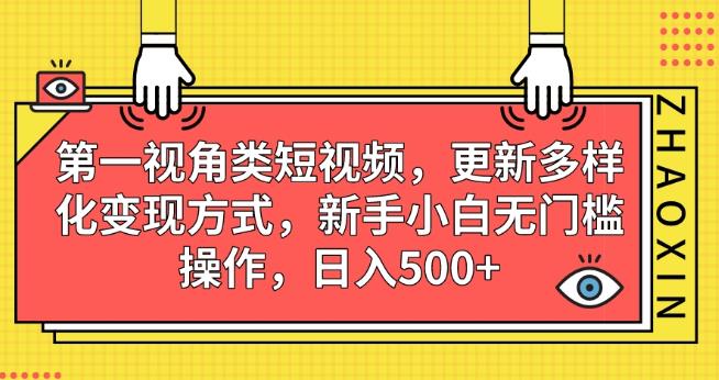 第一视角类短视频，更新多样化变现方式，新手小白无门槛操作，日入500+【揭秘】-源创资源网