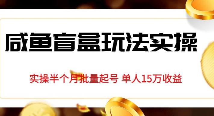 独家首发咸鱼盲盒玩法实操，半个月批量起号单人15万收益【揭秘】-源创资源网