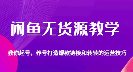 闲鱼无货源教学，教你起号，养号打造爆款链接以及转转的运营技巧-源创资源网