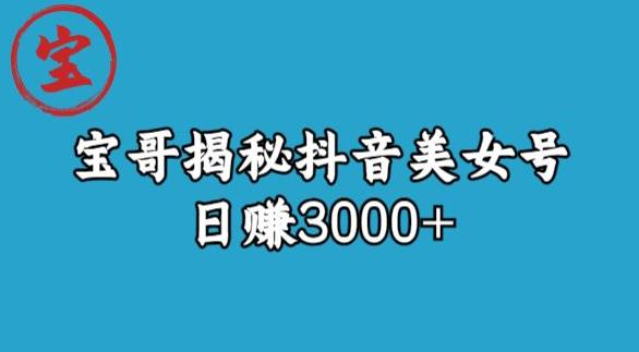 宝哥揭秘抖音美女号玩法，日赚3000+【揭秘】-源创资源网