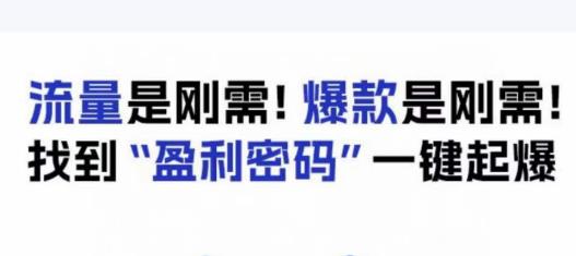 电商盈利精品课：6大盈利密码让产品更好卖，流量是刚需！爆款是刚需！找到”盈利密码”一键起爆-源创资源网