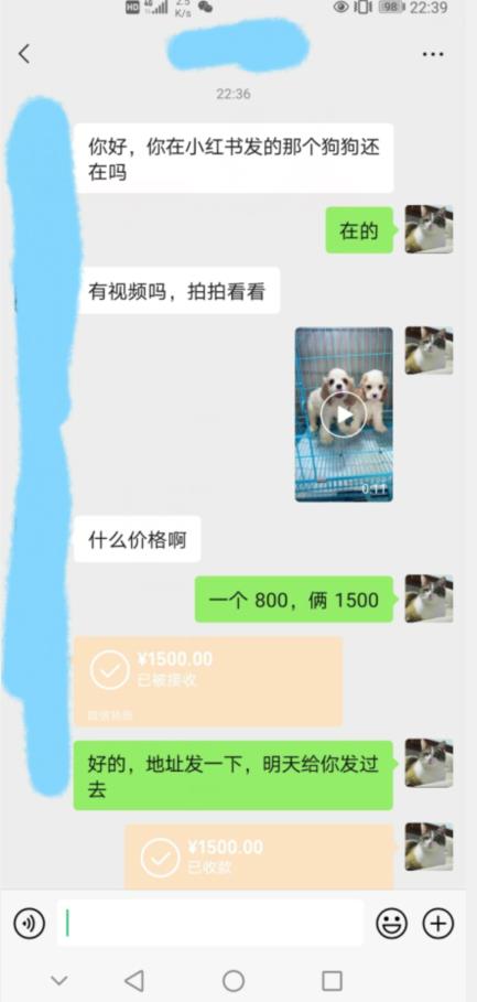 外边收费3980的同城萌宠项目，用最冷门的玩法冲击最热门的市场【揭秘】-源创资源网