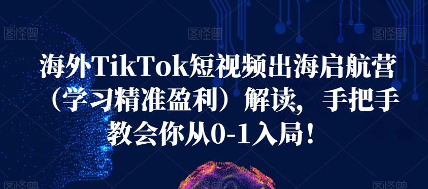 海外TikTok短视频出海启航营（学习精准盈利）解读，手把手教会你从0-1入局！-源创资源网