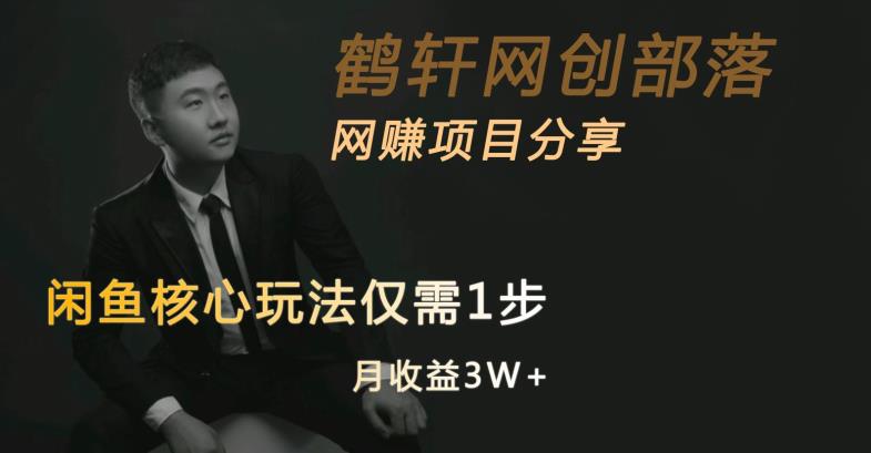 闲鱼核心玩法不卖货也能1年变现20W，玩法简单-源创资源网