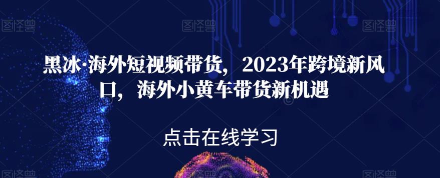 黑冰·海外短视频带货，2023年跨境新风口，海外小黄车带货新机遇-源创资源网