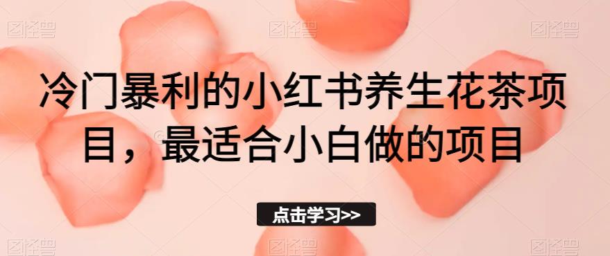 冷门暴利的小红书养生花茶项目，最适合小白做的项目【揭秘】-源创资源网