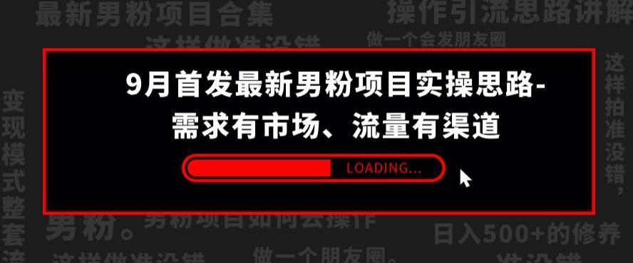 9月首发最新男粉项目实操思路-需求有市场，流量有渠道【揭秘】-源创资源网