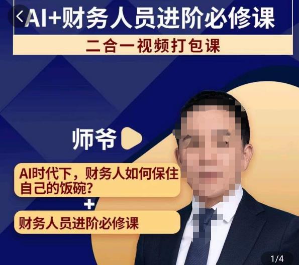 AI+财务人员进阶必修课二合一视频打包课，财务人员进阶必修课-源创资源网