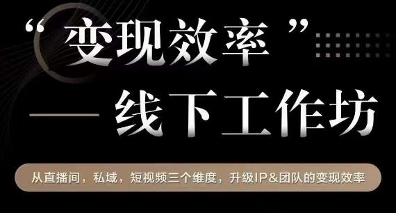 变现效率线下工作坊，从‮播直‬间、私域、‮视短‬频‮个三‬维度，升级IP和团队变现效率-源创资源网