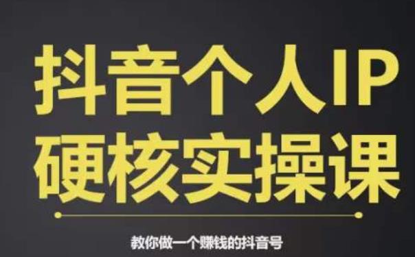 个人IP创富系统实战课，商业定位，流量打造，短视频变现，教你做个赚钱的抖音号-源创资源网