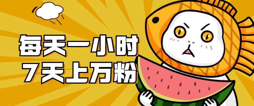 暴力涨粉项目：每天一小时，七天上万粉【揭秘】-源创资源网