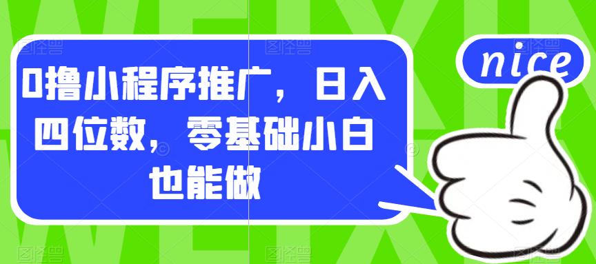 0撸小程序推广，日入四位数，零基础小白也能做【揭秘】-源创资源网