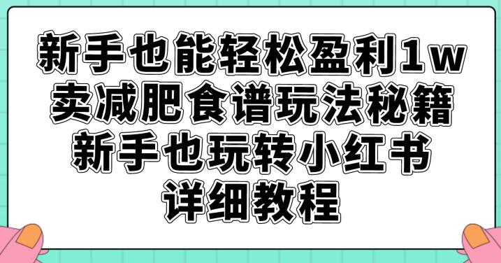 新手也能轻松盈利1w，卖减肥食谱玩法秘籍，新手也玩转小红书详细教程【揭秘】-源创资源网