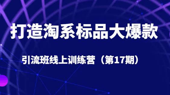 打造淘系标品大爆款引流班线上训练营（第17期）5天直播授课-源创资源网
