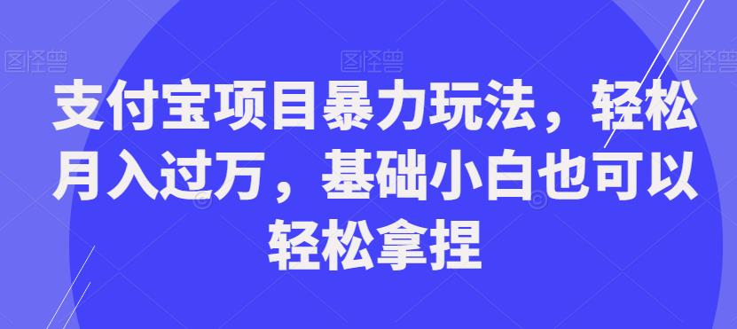 支付宝项目暴力玩法，轻松月入过万，基础小白也可以轻松拿捏【揭秘】-源创资源网