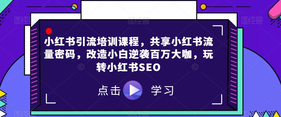 小红书引流培训课程，共享小红书流量密码，改造小白逆袭百万大咖，玩转小红书SEO-源创资源网