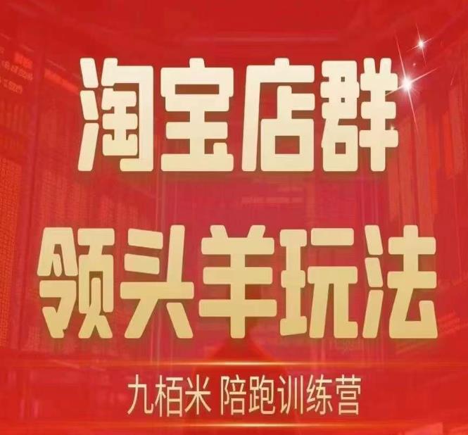 九栢米-淘宝店群领头羊玩法，教你整个淘宝店群领头羊玩法以及精细化/终极蓝海/尾销等内容-源创资源网