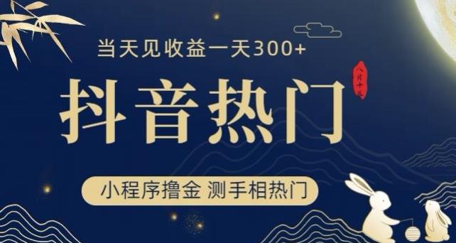 抖音最新小程序撸金，测手相上热门，当天见收益一小时变现300+【揭秘】-源创资源网