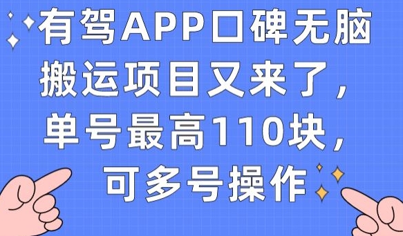 有驾APP口碑无脑搬运项目又来了，单号最高110块，可多号操作-源创资源网
