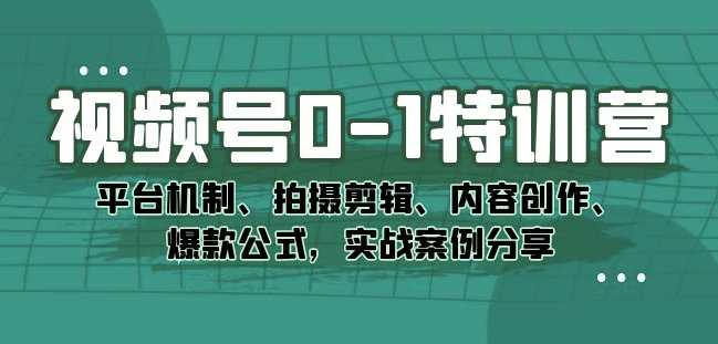 视频号0-1特训营：平台机制、拍摄剪辑、内容创作、爆款公式，实战案例分享-源创资源网