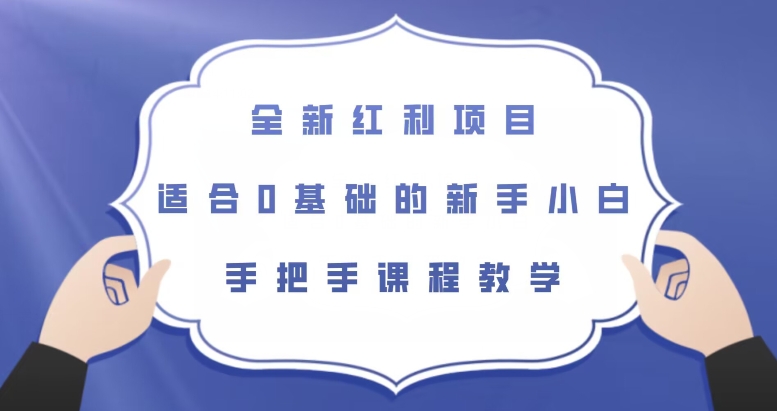 全新红利项目，适合0基础的新手小白，手把手课程教学【揭秘】-源创资源网
