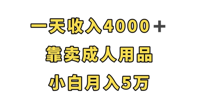 一天收入4000+，靠卖成人用品，小白轻松月入5万【揭秘】-源创资源网