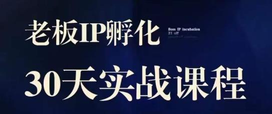 诸葛·2023老板IP实战课，实体同城引流获客，IP孵化必听-源创资源网