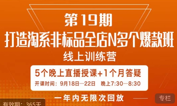 打造淘系非标全店N多个爆款线上课，​5天直播课-源创资源网