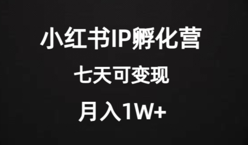 价值2000+的小红书IP孵化营项目，超级大蓝海，七天即可开始变现，稳定月入1W+-源创资源网