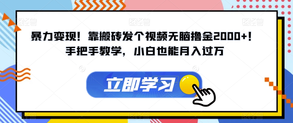 暴力变现！靠搬砖发个视频无脑撸金2000+！手把手教学，小白也能月入过万【揭秘】-源创资源网