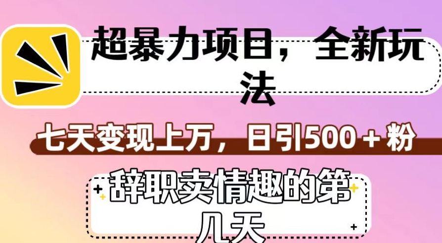 超暴利项目，全新玩法（辞职卖情趣的第几天），七天变现上万，日引500+粉【揭秘】-源创资源网