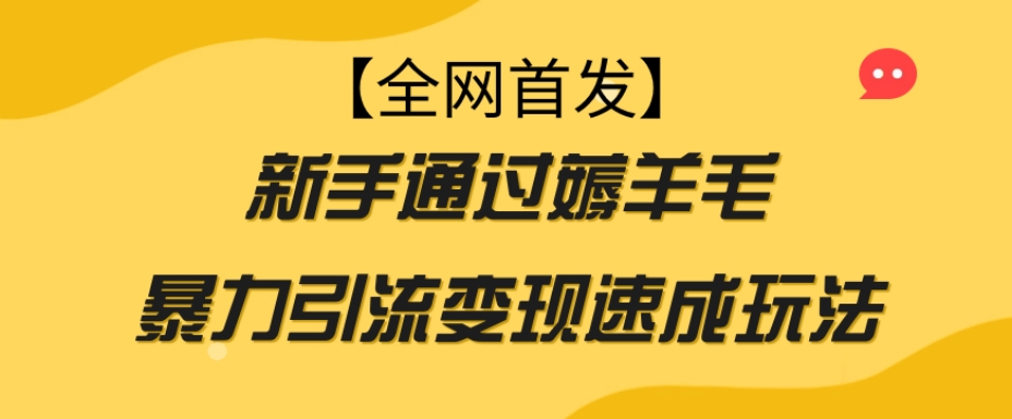 【全网首发】新手通过薅羊毛暴力引流变现速成玩法-源创资源网