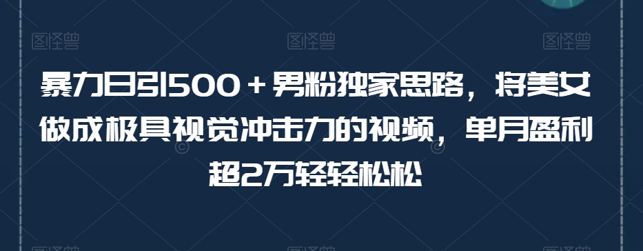 暴力日引500＋男粉独家思路，将美女做成极具视觉冲击力的视频，单月盈利超2万轻轻松松-源创资源网