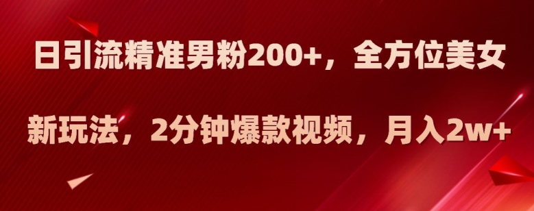 日引流精准男粉200+，全方位美女新玩法，2分钟爆款视频，月入2w+【揭秘】-源创资源网