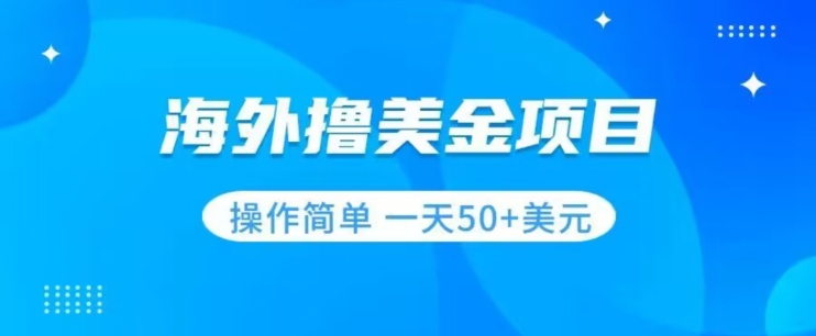 撸美金项目无门槛操作简单小白一天50+美刀-源创资源网