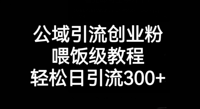 公域引流创业粉，喂饭级教程，轻松日引流300+【揭秘】-源创资源网