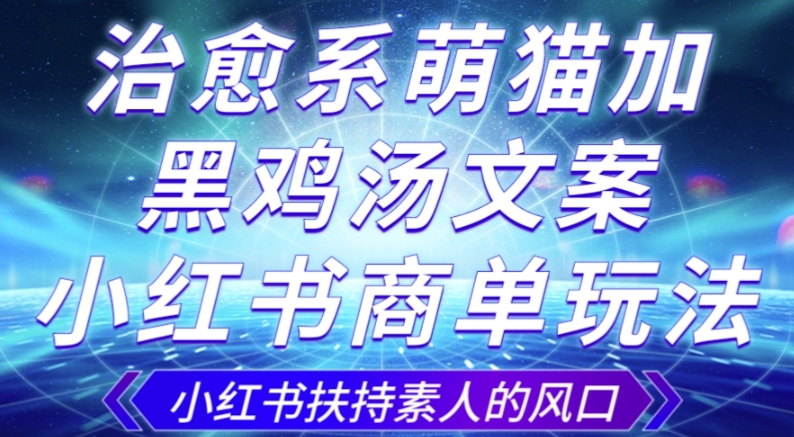 治愈系萌猫加+黑鸡汤文案，小红书商单玩法，3~10天涨到1000粉，一单200左右-源创资源网