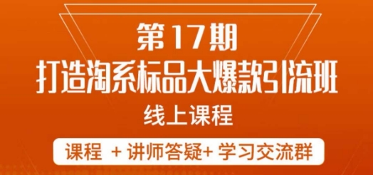 南掌柜-第17期打造淘系标品大爆款，5天线上课-源创资源网