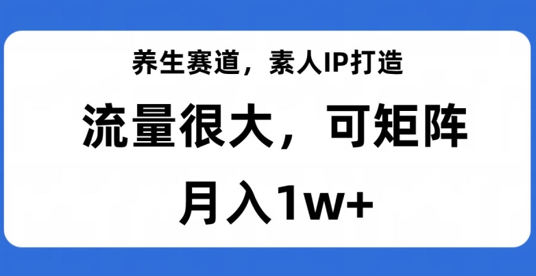 养生赛道，素人IP打造，流量很大，可矩阵，月入1w+【揭秘】-源创资源网