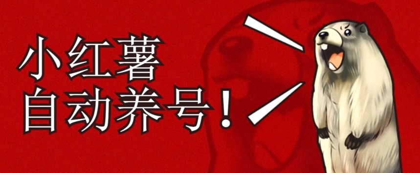 小红书养号秘籍，如何自动涨粉清晰系统标签打造高权重账号【揭秘】-源创资源网