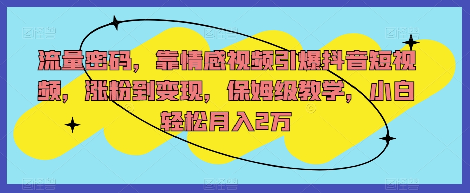流量密码，靠情感视频引爆抖音短视频，涨粉到变现，保姆级教学，小白轻松月入2万【揭秘】-源创资源网